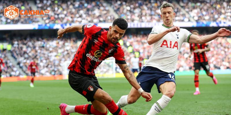 Những nhận định chi tiết về cả 2 đội bóng Tottenham Hotspur vs AFC Bournemouth trước giờ ra sân